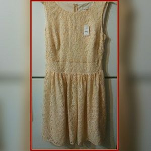 Ann Taylor Loft lace dress